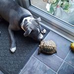 Wendy Bower - @wendybower2009 - Instagram