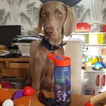 Wendy Bower - @wendy.bower.18 - Instagram