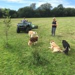 Wendy Bowles - @wendyswheelswales - Instagram