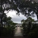 Wendy Bowles - @welliesandwalks - Instagram