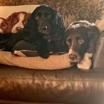 Wendy Boyes - Facebook