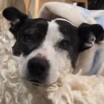 Wendy Boyes - @wendypendy68 - Instagram