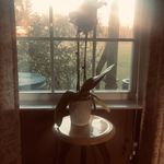 Wendy Braxton Brown - @fsuopus2 - Instagram