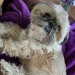 Wendy Brenner - @brennerwendy - Instagram