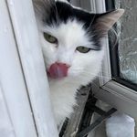 Wendy Brogden - @wendydwiseman - Instagram