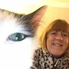 Wendy Brogden - @wendybrogden - TikTok