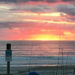 Wendy_bush - @wendy_bush60 - Instagram