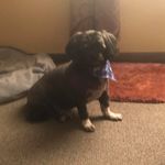Wendy Bush - @wendy.bush.9400 - Instagram