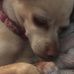 Wendy Callender - Facebook