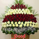 Wendy Callender - @wendycallender1951 - Instagram