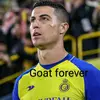 Ronaldo the goat - @wendycamp - TikTok