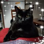 Wendy Carbone McDonald - @winterwinder58 - Instagram