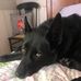 Wendy Catlin - Facebook