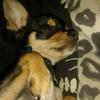 wendycausey315 - @wendycausey315 - TikTok