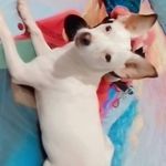 Wendy Cecilia Jiménez Carmona - @wendyceciliajimenezcarmona - Instagram