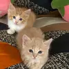 Wendy De Cecilio Velásquez - @wendy.de.cecilio - TikTok