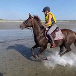 Wendy Chambers - @wendychambers2658 - Instagram