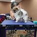 Wendy Chambers - Facebook