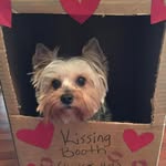Wendi Chenault - @wendichenault - Instagram