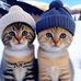 Wendy Ching - Facebook