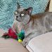 Wendy Clasby - Facebook