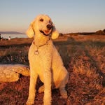 Wendy Clegg - @wjclegg - Instagram