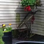 Wendy Cline - @mydoughboy - Instagram