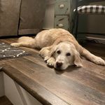 Wendy McMurray Cline - @wendy.m.cline - Instagram