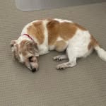 Wendy Collie - @ginge_meggs - Instagram