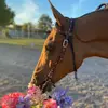 wendycollierleroy - @wendycollierleroy - TikTok
