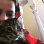 Emerson Colton - @wendy.colton1244 - Instagram