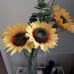 Wendy Cornish - Facebook