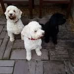 Wendy Cornish - @wendy.cornish.543 - Instagram