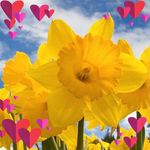 Wendy Cornwell - @wlc686 - Instagram