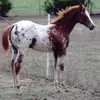 Wendy Corson - @wendy.corson - TikTok