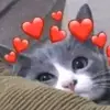 💘W...d⁵⁰²💘💌 - @wendycoy20 - TikTok