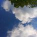Wendy Croft - Facebook