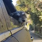 Wendy Croft - @hobos_mumma - Instagram