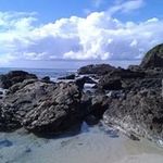 Wendy Croft - @croftwendy - Instagram