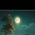 Wendy Croft - Facebook