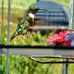 Wendy Danner - Facebook