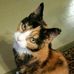 Wendy Irons Daugherty - Facebook
