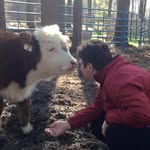 Wendy Young Daugherty - @wldaugherty - Instagram