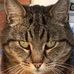 Wendy DuRose - Facebook