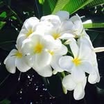 Susan Wendy Dickey - @suki.dee - Instagram