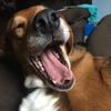 Wendy Lynn - @wendydog120509 - TikTok