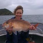 Wendy Dobson - @dobsonwens - Instagram