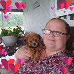 Wendy Dobson - @wendy.dobson.3348 - Instagram
