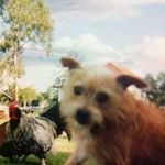 Wendy Dodge - @wendydodge70 - Instagram