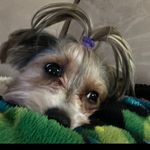 Wendy Dodge Koberski - @eeyore341114 - Instagram